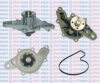 AQUAPLUS 85-6515 Water Pump